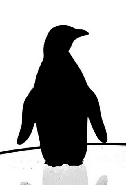 penguin 1